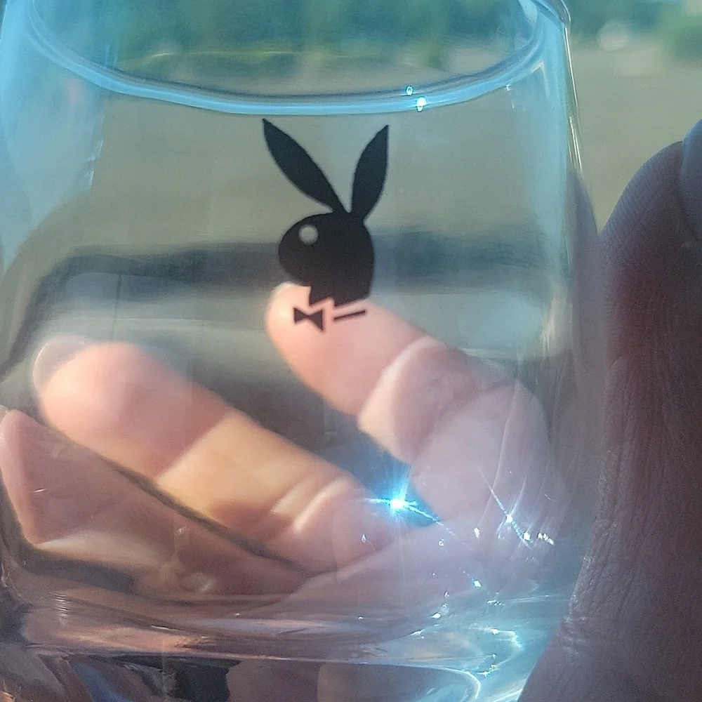 Vintage Playboy Barware glasses set of 2